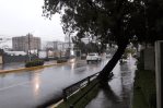 Llegará una onda tropical este lunes al país