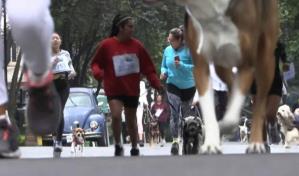 Perritos en fuga, la carrera canina en Ciudad de México