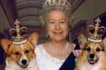 El árbol genealógico de los más de 30 perros corgis que tuvo Isabel II El árbol genealógico de los más de 30 perros corgis que tuvo Isabel II