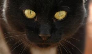 ¿Por qué se cree que el martes 13 es de mala suerte?