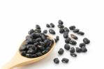 Frijoles negros, ideales para la longevidad Frijoles negros, ideales para la longevidad