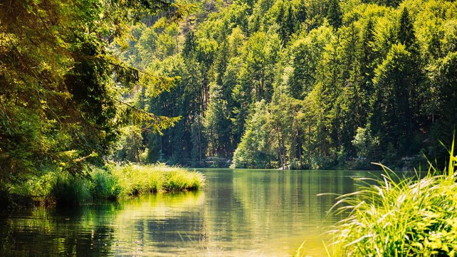 Bruselas: Sin una naturaleza saludable no habrá seguridad alimentaria