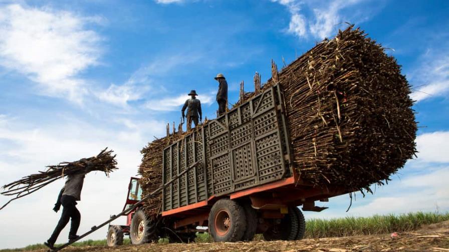 EEUU denuncia condiciones de trabajo forzosas en empleados de la industria azucarera de RD