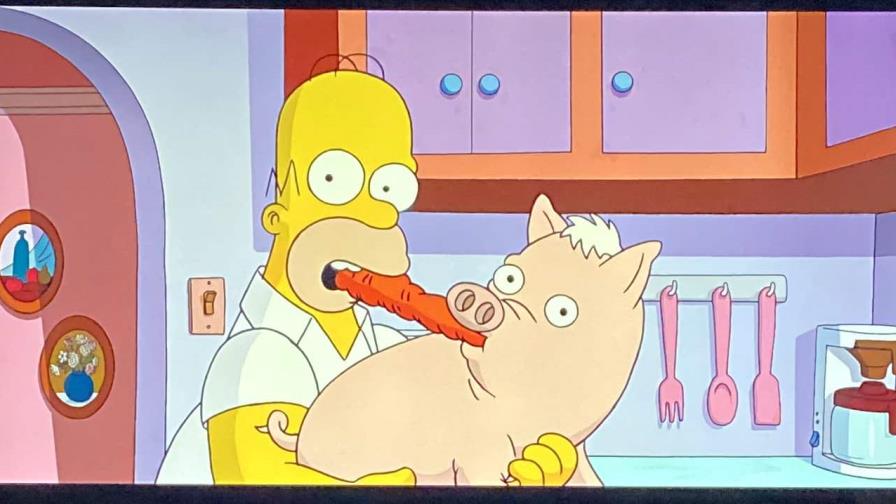 ¿Dónde puedes ver todas las temporadas de Los Simpsons?