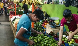 Latinoamérica busca reglas comunes para comercio de alimentos