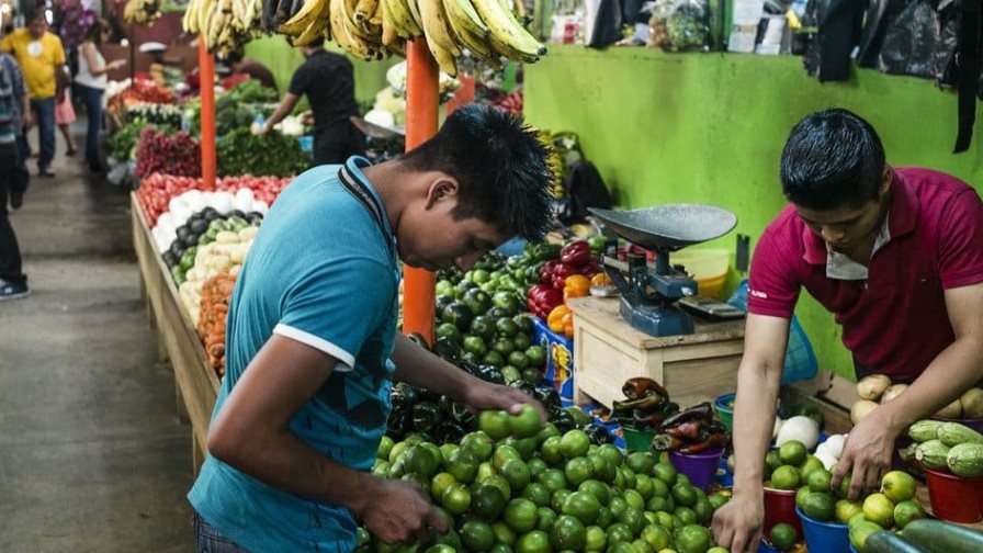 Latinoamérica busca reglas comunes para comercio de alimentos