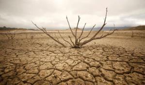 Descubren que los suelos tropicales son muy sensibles al calentamiento global