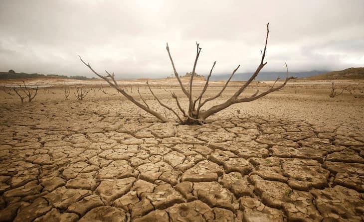 Descubren que los suelos tropicales son muy sensibles al calentamiento global