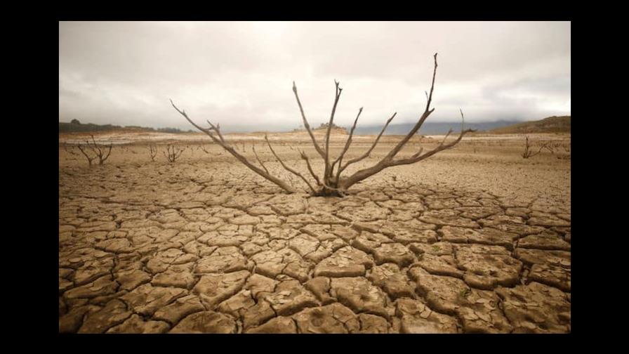 Descubren que los suelos tropicales son muy sensibles al calentamiento global