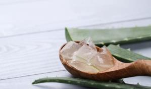 Usos del gel de aloe vera