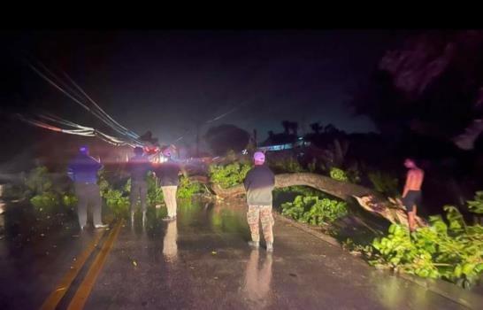 Vientos del huracán Fiona dejan sectores sin luz y árboles y letreros caídos en Bávaro