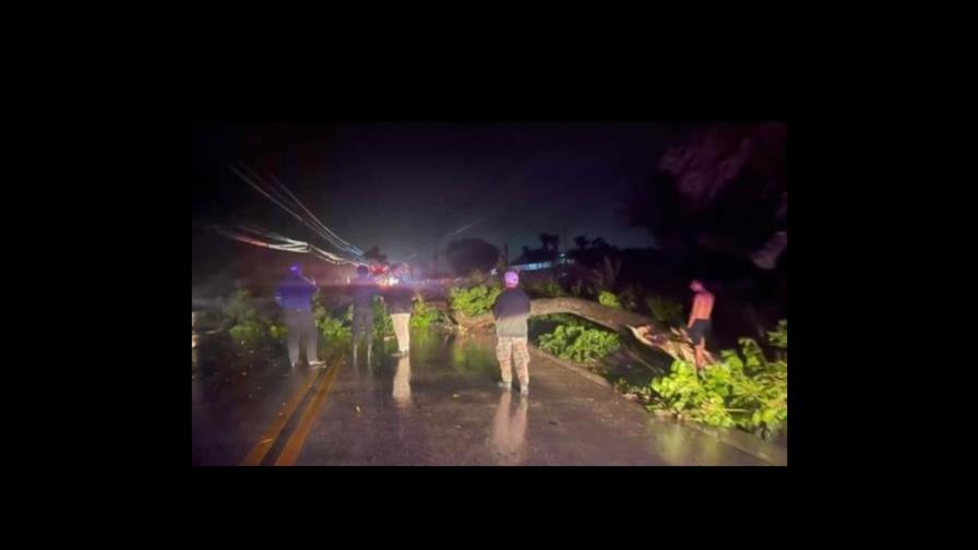 Vientos del huracán Fiona dejan sectores sin luz y árboles y letreros caídos en Bávaro