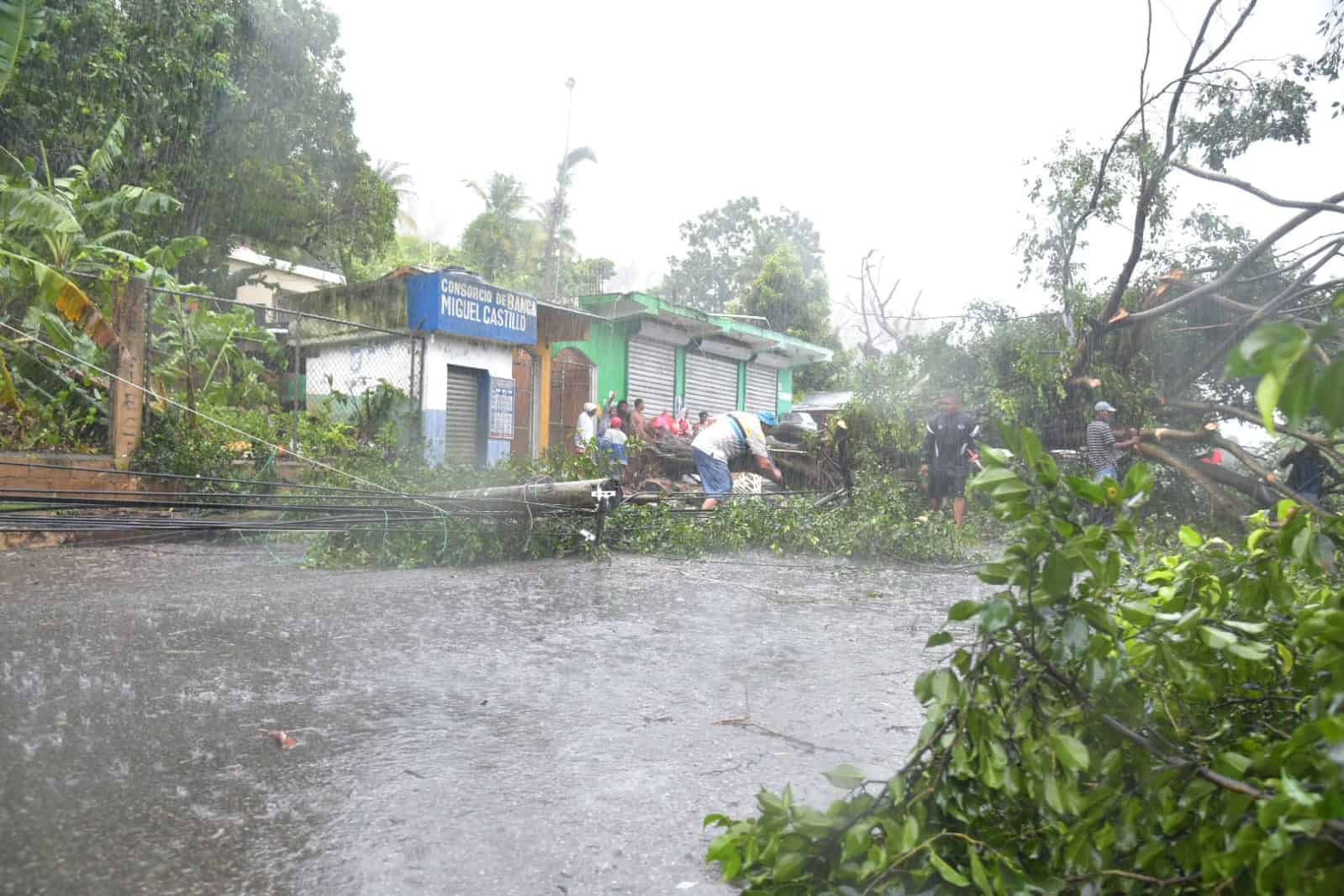 Los árboles tumbaron el tendido eléctrico en el sector La Pascuala, Samaná.