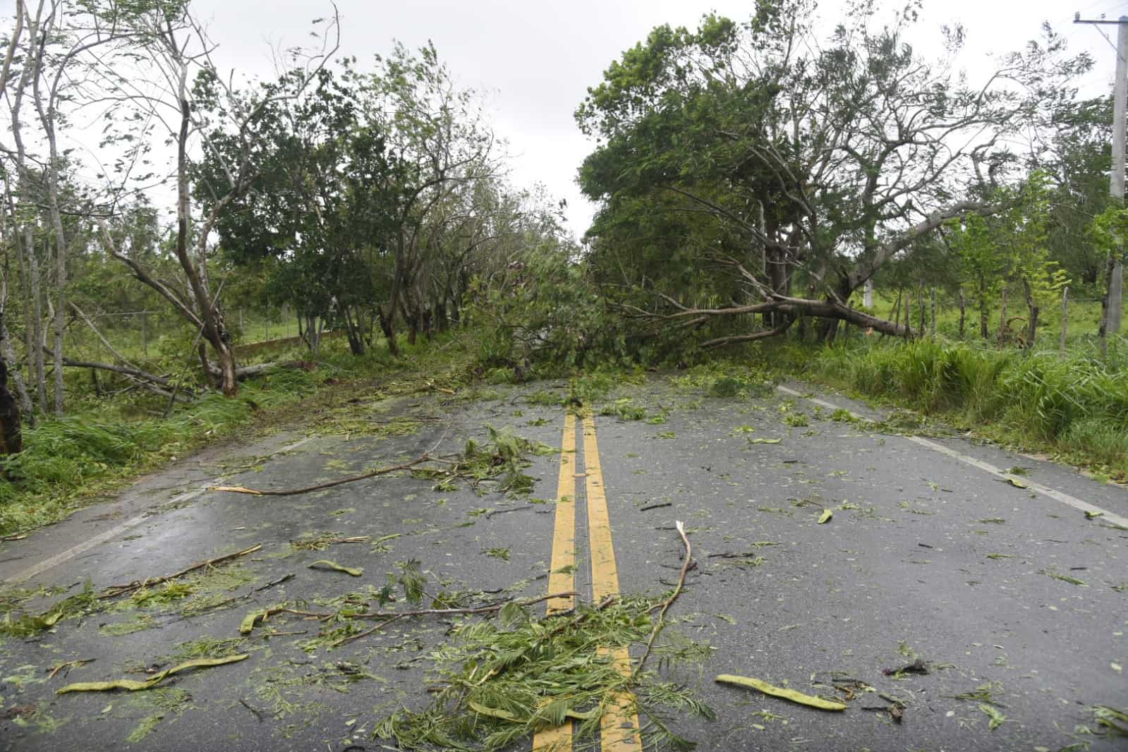Las vías de acceso en la zona de Boca de Yuma quedaron interrumpida por la caída de árboles.