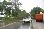 Árboles derrumbados por Fiona bloquean paso en autopista Nagua - Samaná