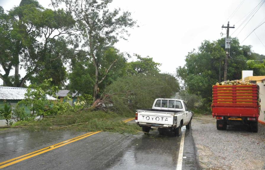 Árboles derrumbados por Fiona bloquean paso en autopista Nagua - Samaná