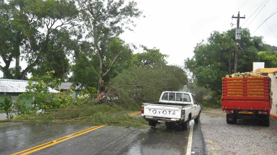 Árboles derrumbados por Fiona bloquean paso en autopista Nagua - Samaná