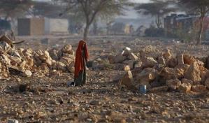 Cada cuatro segundos muere una persona en el mundo por falta de alimentos Cada cuatro segundos muere una persona en el mundo por falta de alimentos