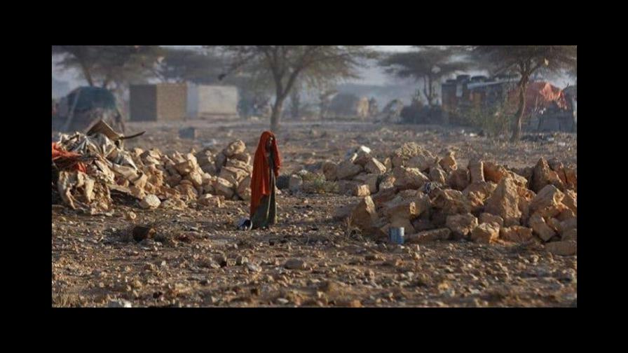 Cada cuatro segundos muere una persona en el mundo por falta de alimentos Cada cuatro segundos muere una persona en el mundo por falta de alimentos