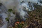 Incendios en Amazonía brasileña ya superan este año los de todo 2021