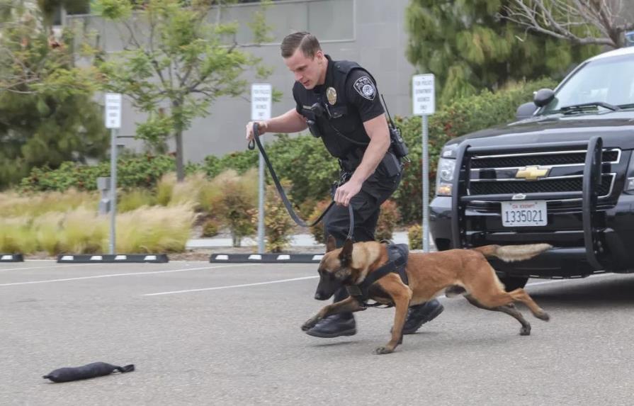 San Diego indemnizará a mujer que fue atacada por perro policía