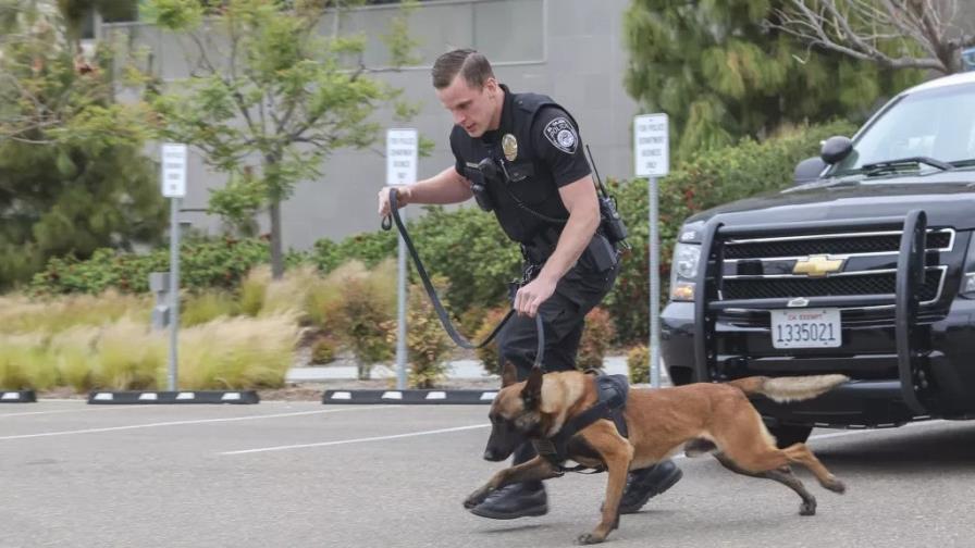 San Diego indemnizará a mujer que fue atacada por perro policía