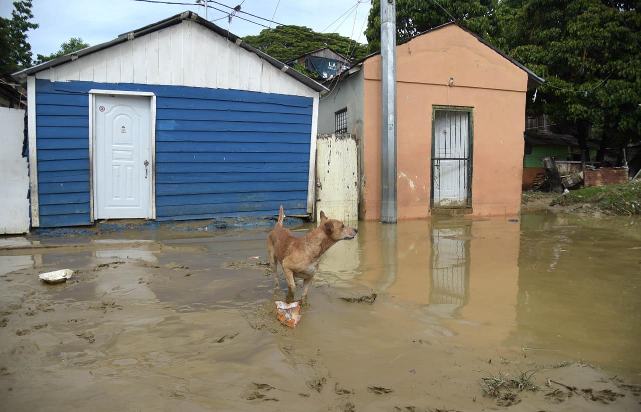 Casas que fueron inundadas 