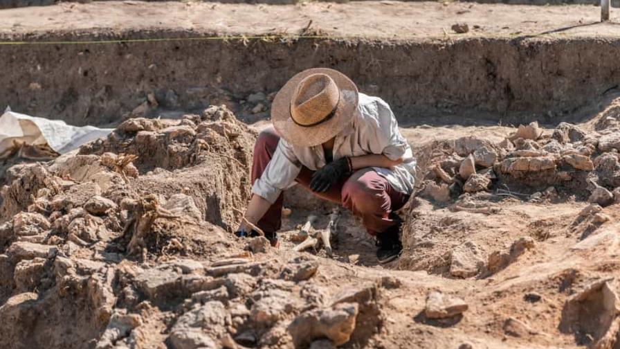 ¡Tremendo hallazgo! Hubo cirugías desde hace 31,000 años ¡Tremendo hallazgo! Hubo cirugías desde hace 31,000 años