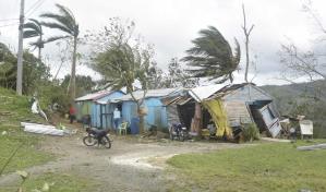 Zonas rurales corren mayor riesgo de aumento de casos de dengue y malaria