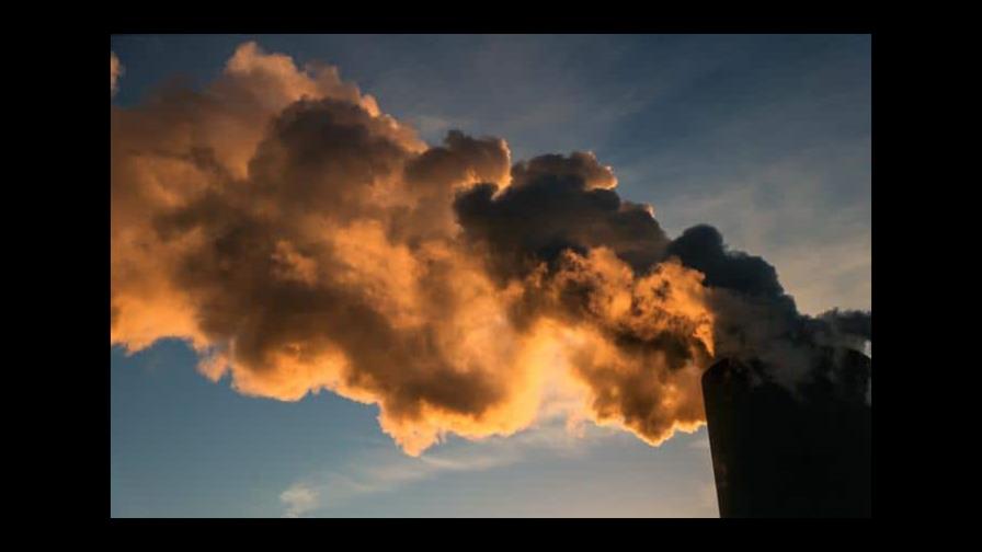 Respirar contaminación en los cinco primeros años de vida cambia el cerebro