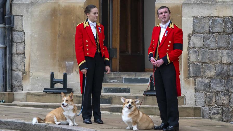 Esta era la dieta de los corgis de la reina Isabel II