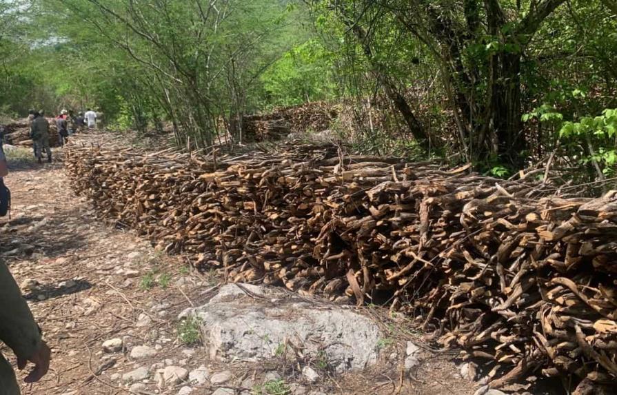 Medio Ambiente responde a denuncia sobre tráfico madera seca de guaconejo en Independencia