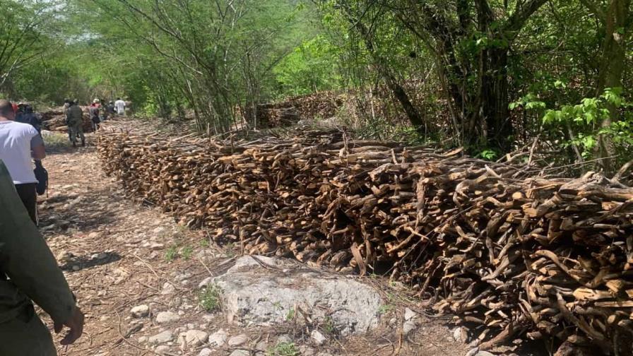 Medio Ambiente responde a denuncia sobre tráfico madera seca de guaconejo en Independencia