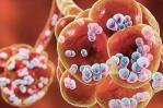 Científicos utilizan robots para tratar la neumonía bacteriana en los ratones