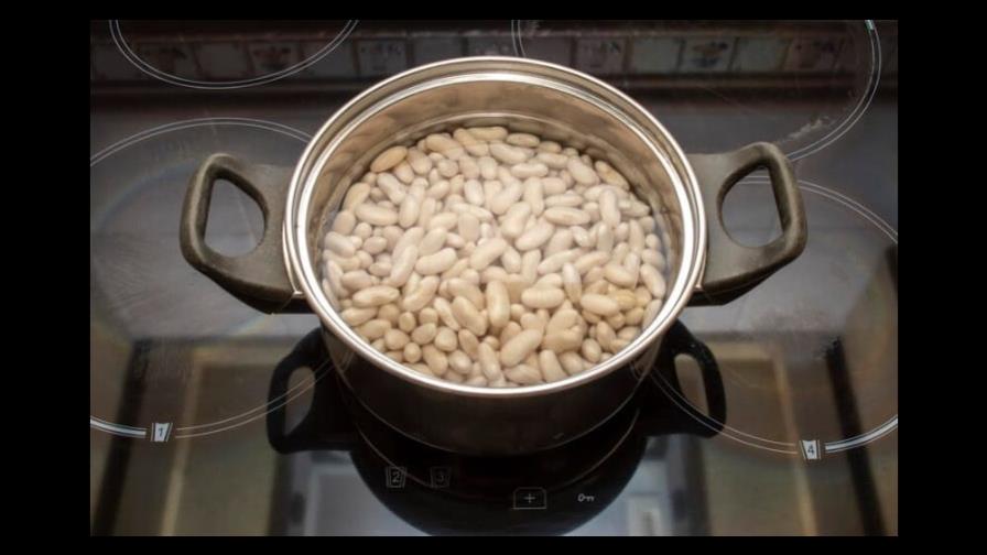 Legumbres en remojo: ¿conocías esta información?