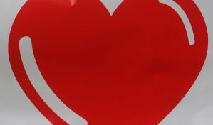Coraz&oacute;n, motor y vida