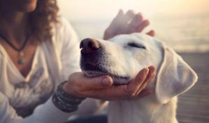 C&oacute;mo ahorrar al mantener a un perro
