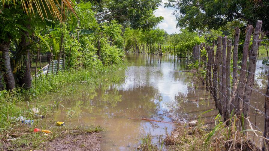 Pérdidas en sector agropecuario podrían pasar de los RD$2,000 millones