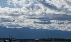 Países decidirán sobre reducción de emisiones de CO2 de la aviación