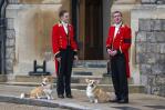 Se disparan los precios de los perros corgis tras la muerte de la reina Isabel II Se disparan los precios de los perros corgis tras la muerte de la reina Isabel II