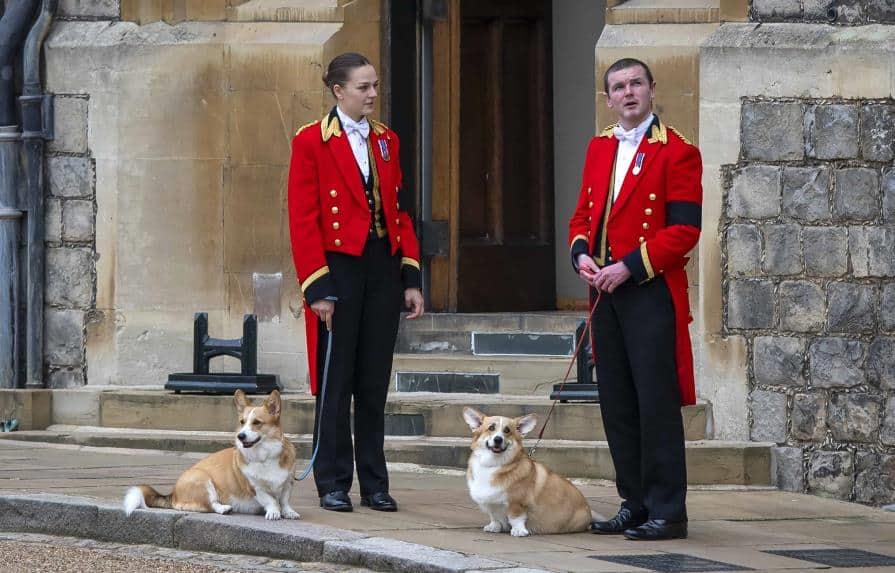 Se disparan los precios de los perros corgis tras la muerte de la reina Isabel II