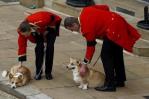 Tras la muerte de Isabel II el precio de los perros corgis toca récords