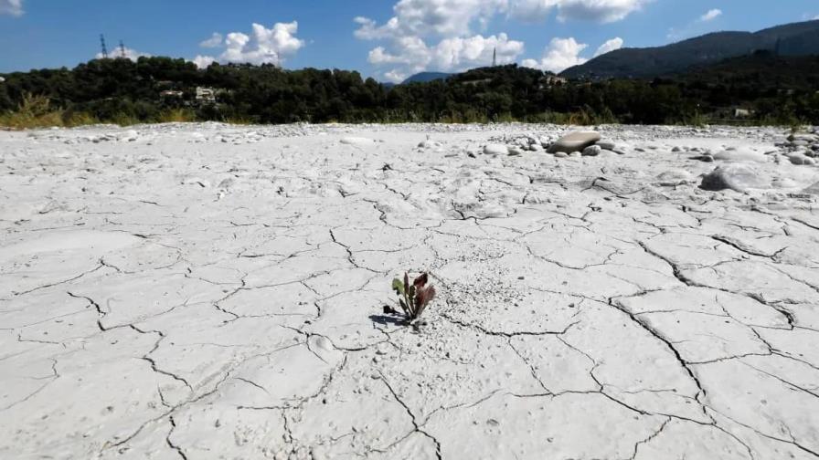 Unión Europea espera sequías extremas casi cada año en 2043 si no se toman medidas