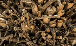 Algo huele mal con el guaconejo