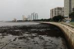 Usuarios de Twitter reportan que las aguas del mar en Tampa se han retirado