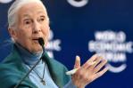 Jane Goodall: cada individuo elige el "impacto que tiene en el planeta"