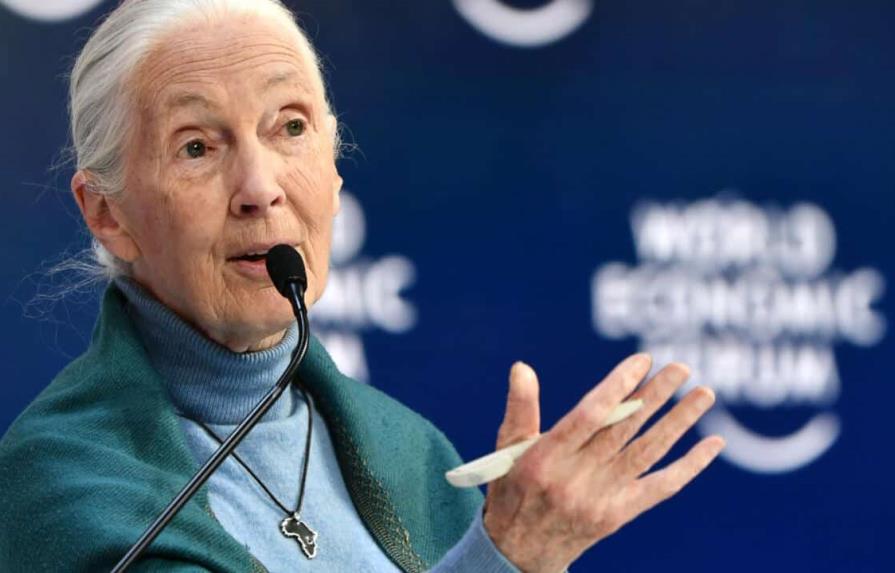 Cambio climático se acerca al punto de no retorno, dijo la primatóloga Jane Goodall