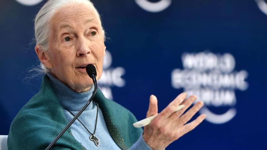 Cambio climático se acerca al punto de no retorno, dijo la primatóloga Jane Goodall