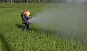 Cien jóvenes con vocación agrícola recibirán tierras reformadas del Estado