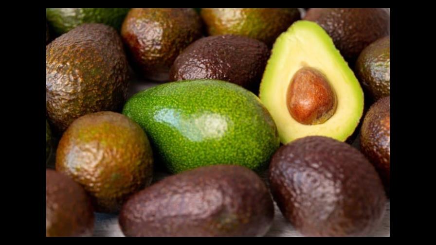 Aguacate: cómo elegir el mejor al comprarlo